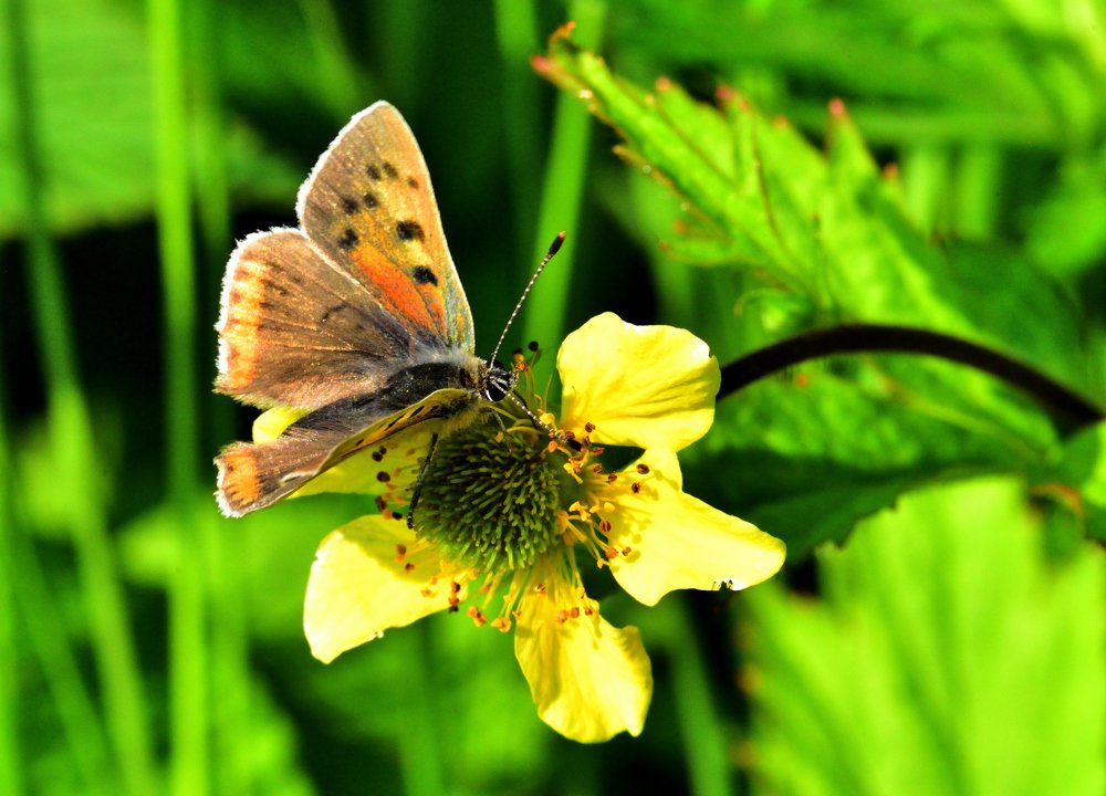 Photograph by Александр Мухин