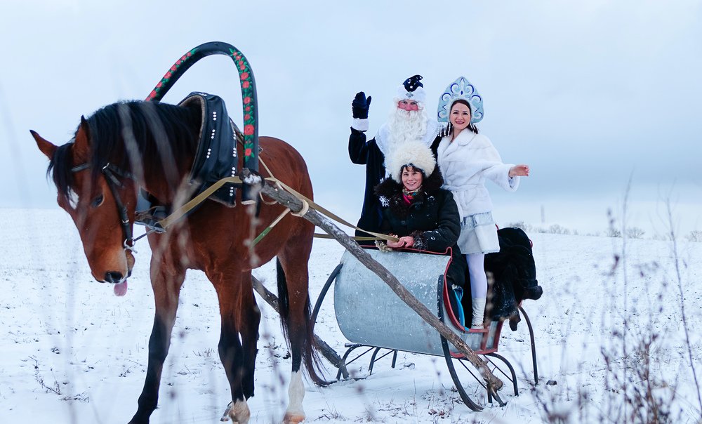 Photograph by Михаил Фенелонов