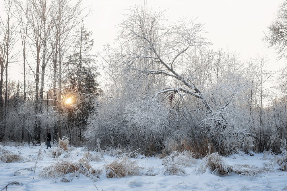 Photograph by Илья Мефодьев