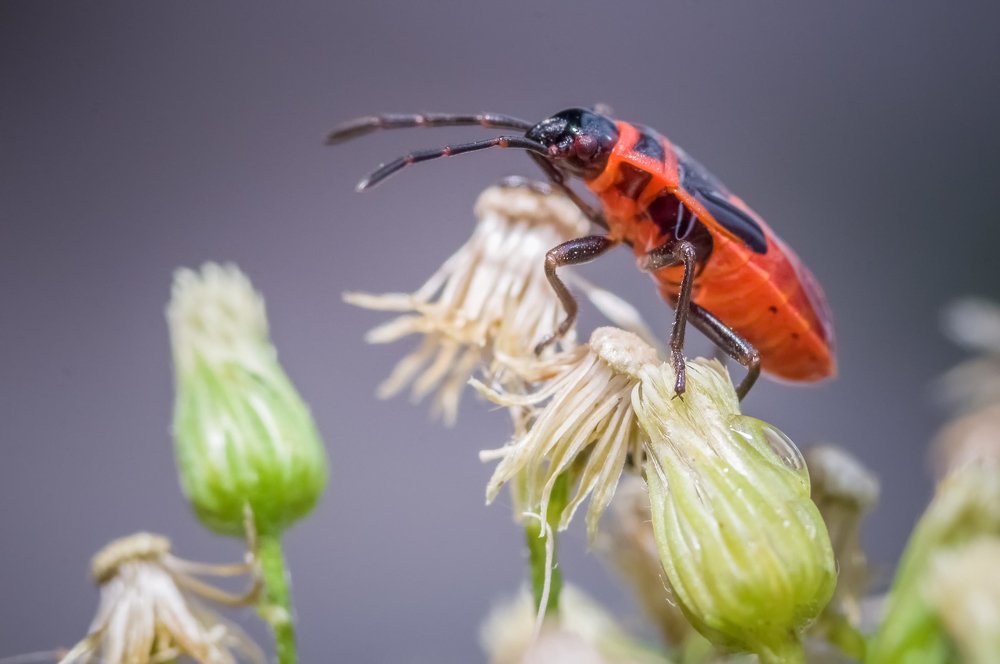 Photograph by Ясинский Юрий