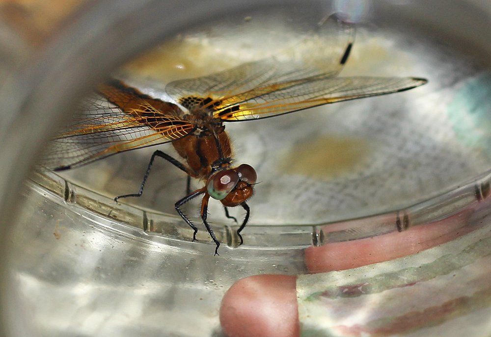 Какие глазки!