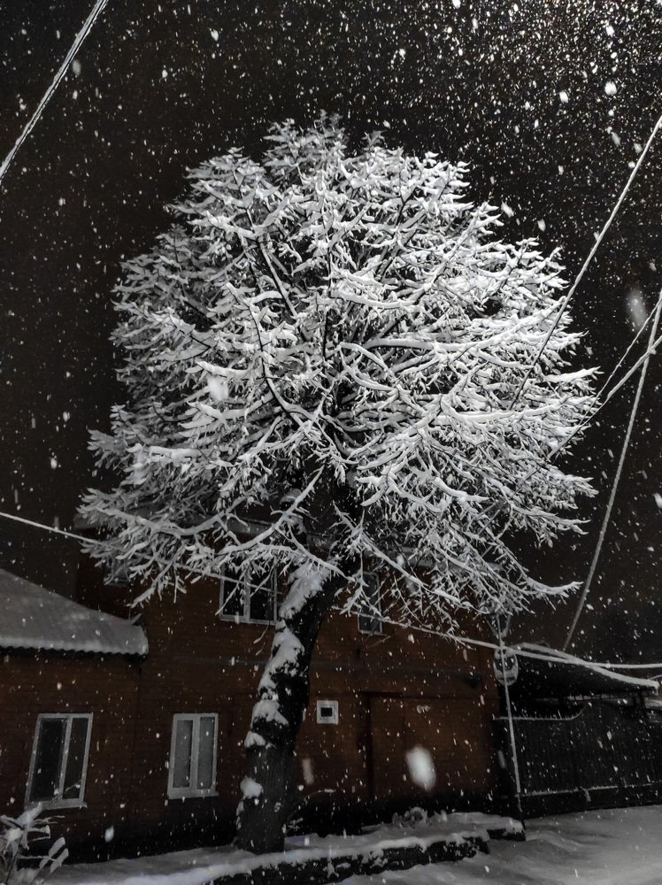 Photograph by Владимир Караман