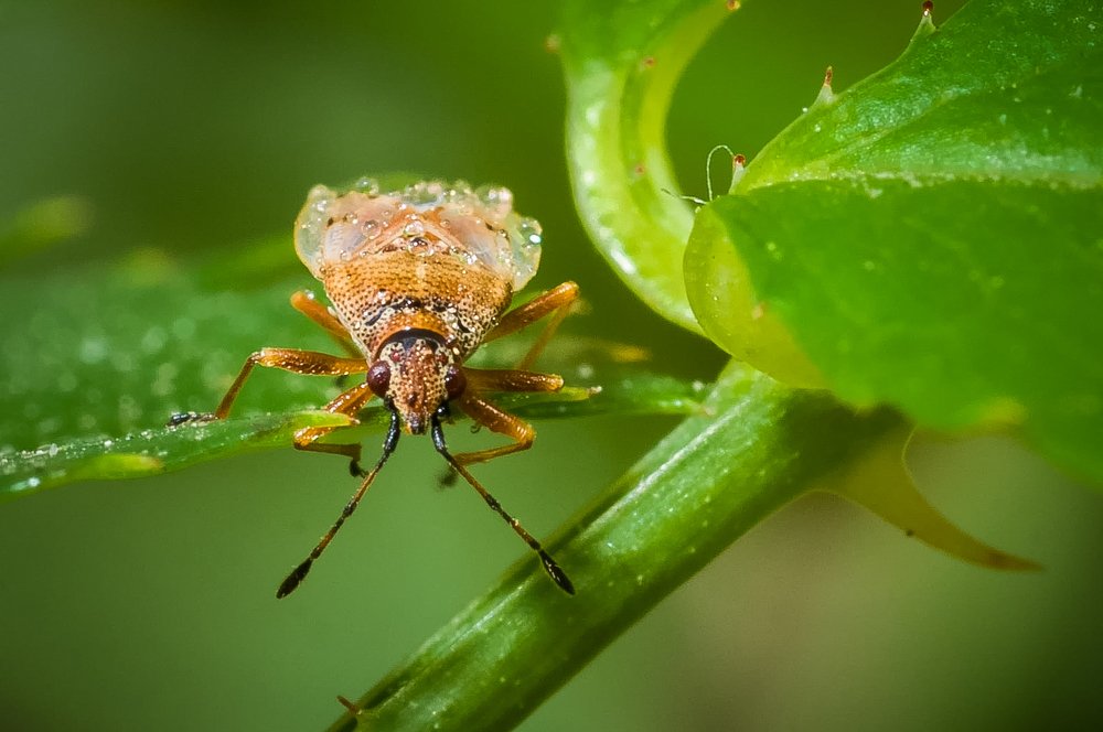 Photograph by Ясинский Юрий
