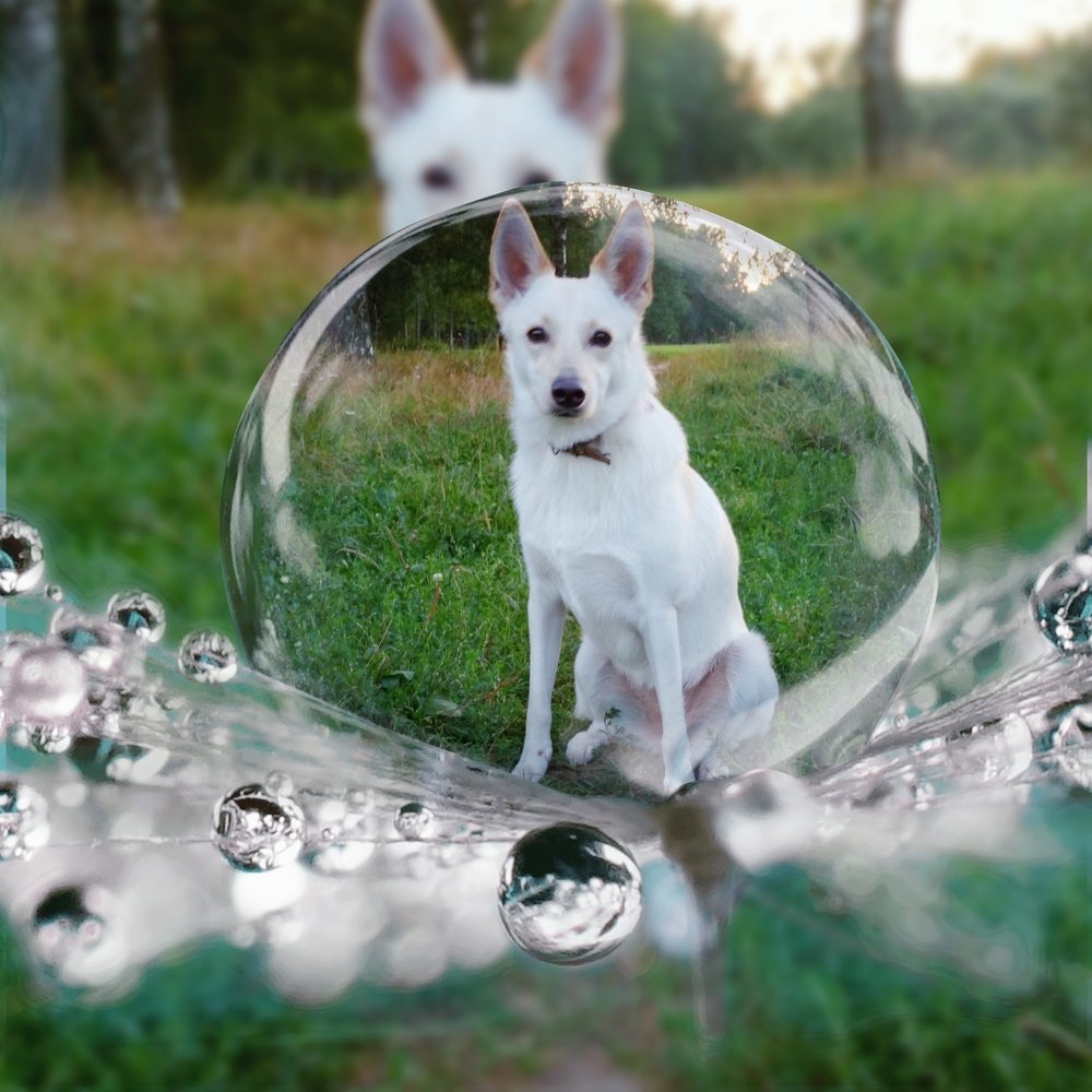 Photograph by Юлия