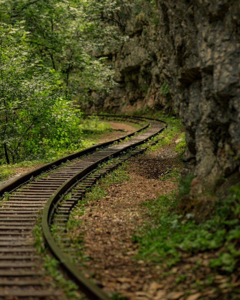 Photograph by SIARHEI RABCHONAK