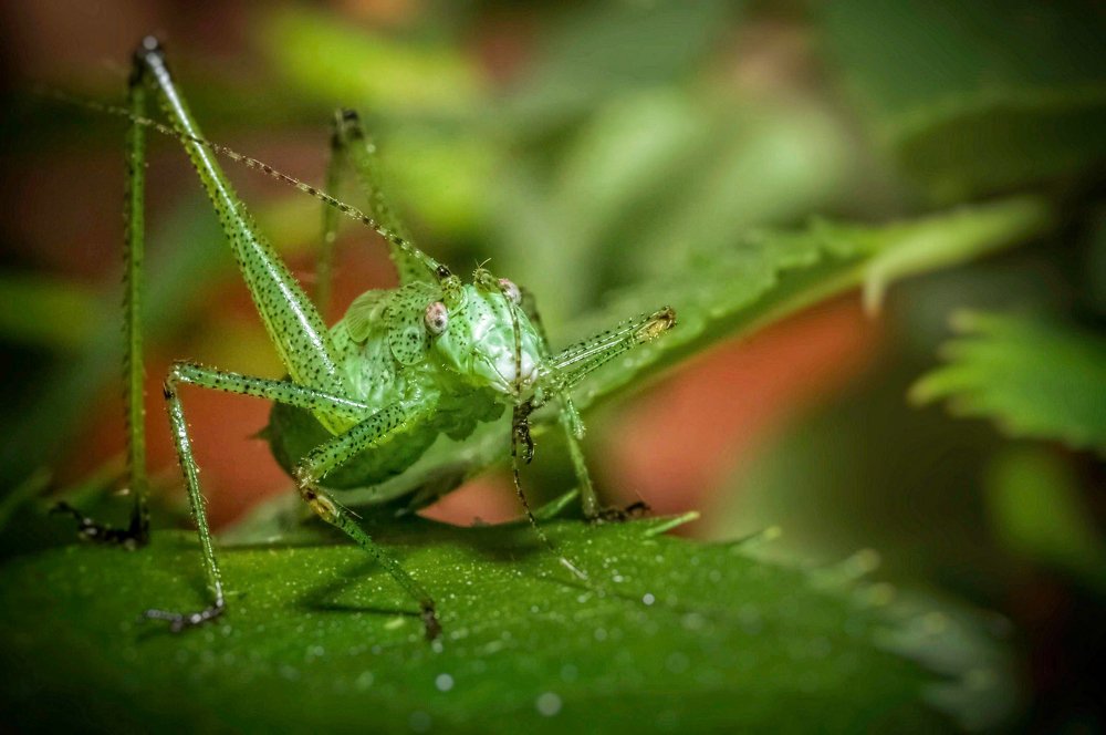 Photograph by Ясинский Юрий