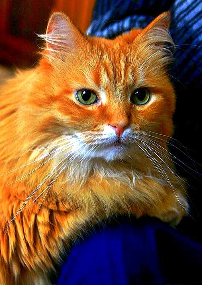 Photograph by Николай Шумилов