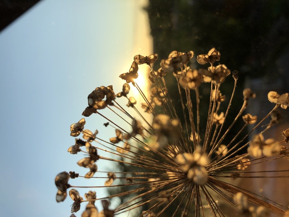 Пространство