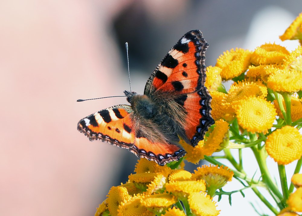 Photograph by Evgeniia Iakimenko