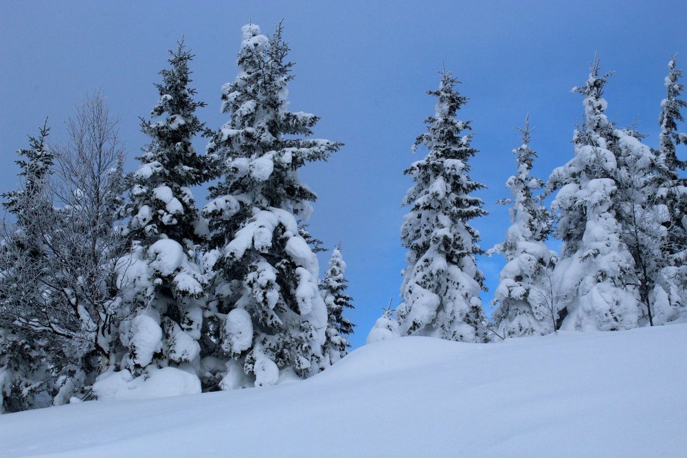 Photograph by Inna Korepanova