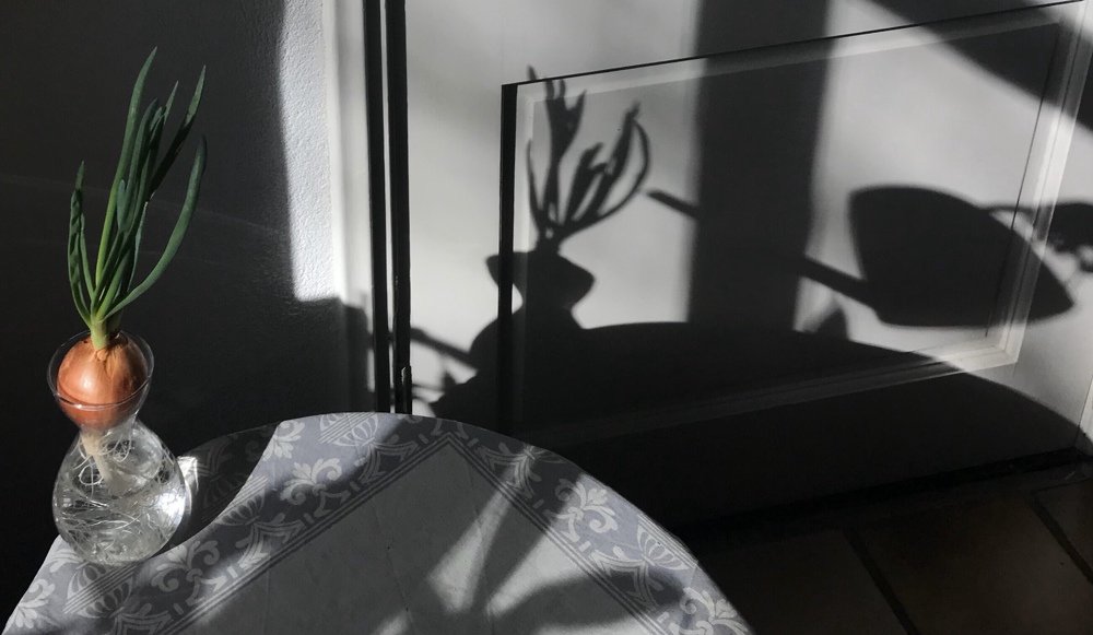 Photograph by Юлия З