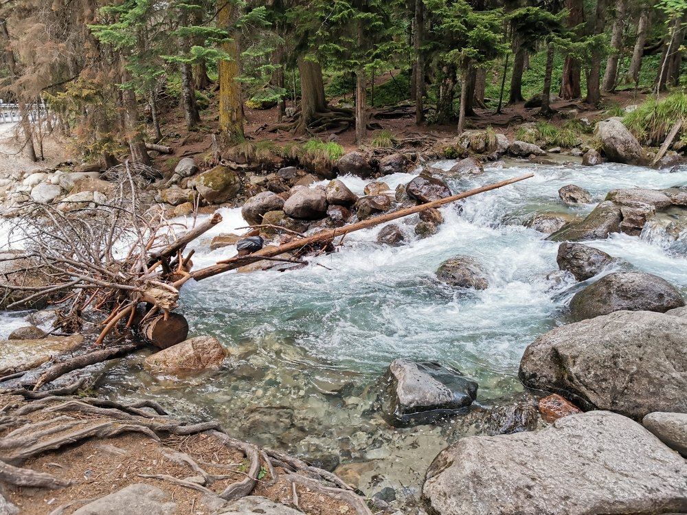 Photograph by Елена Акимова