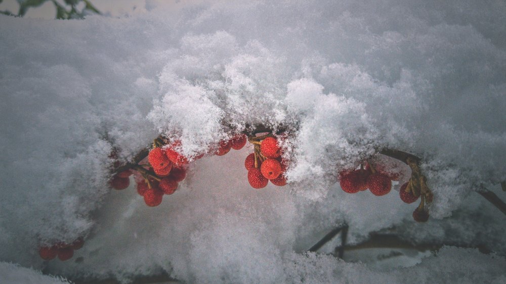 Photograph by Хачик Аджатян