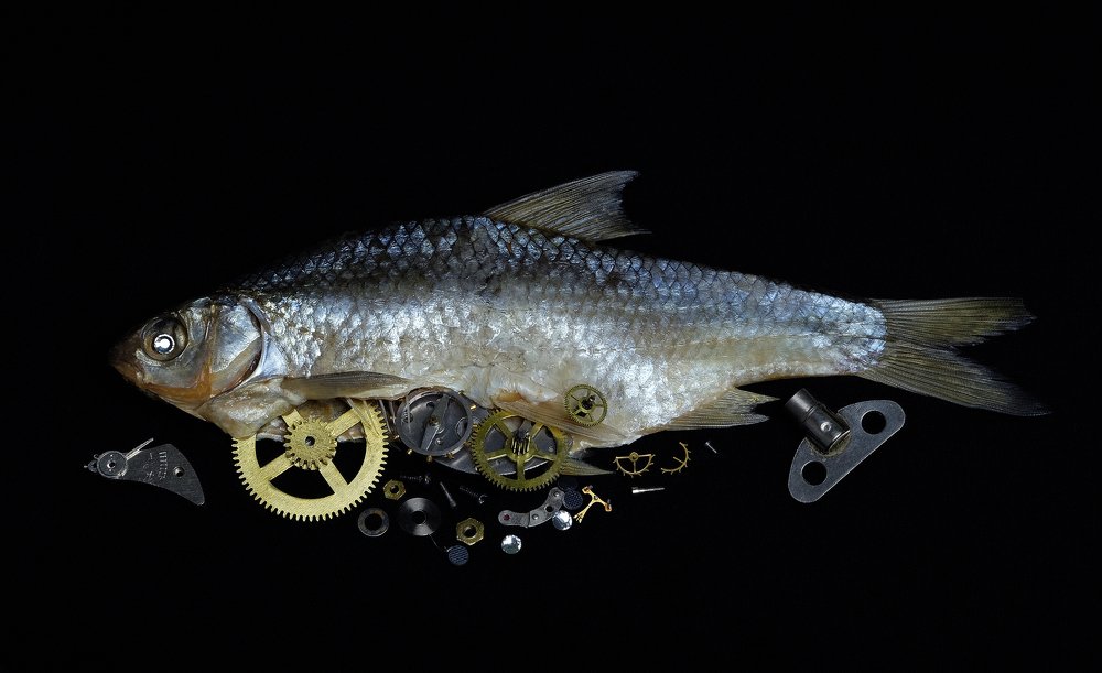 Photograph by Данил Мандрыгин