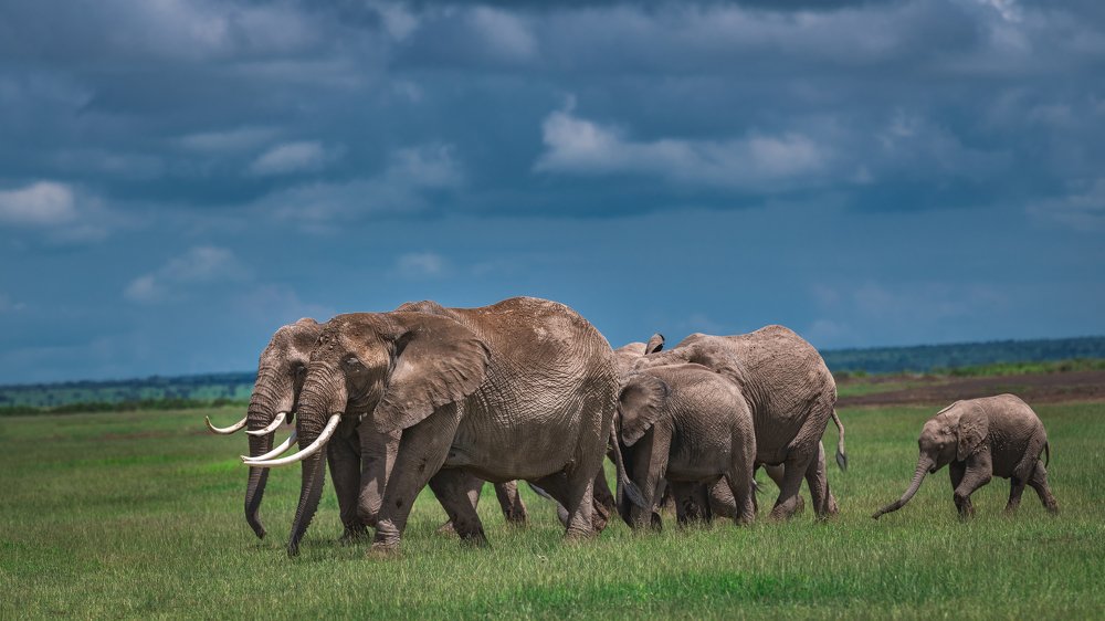 Не отставай/Keep up