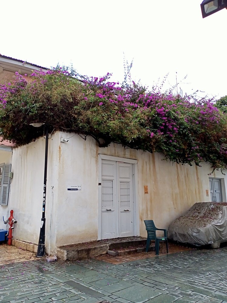 Photograph by Нуриля Аметакунова