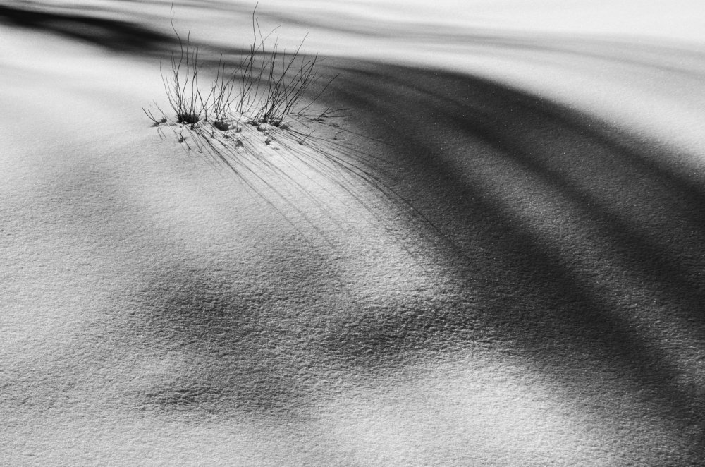 Photograph by Fatemeh(Banafsheh) Pishkhan