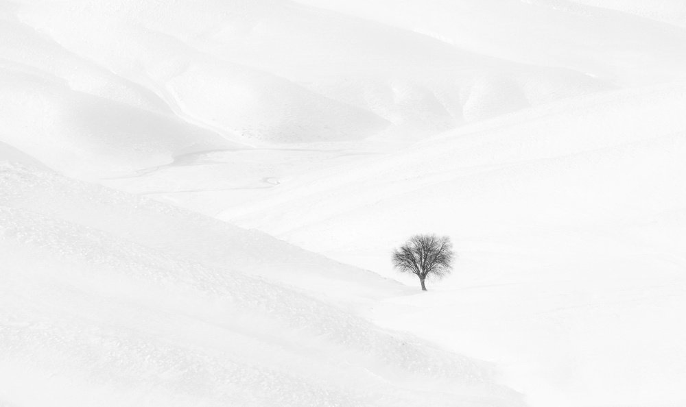 Photograph by Elahe Beigi