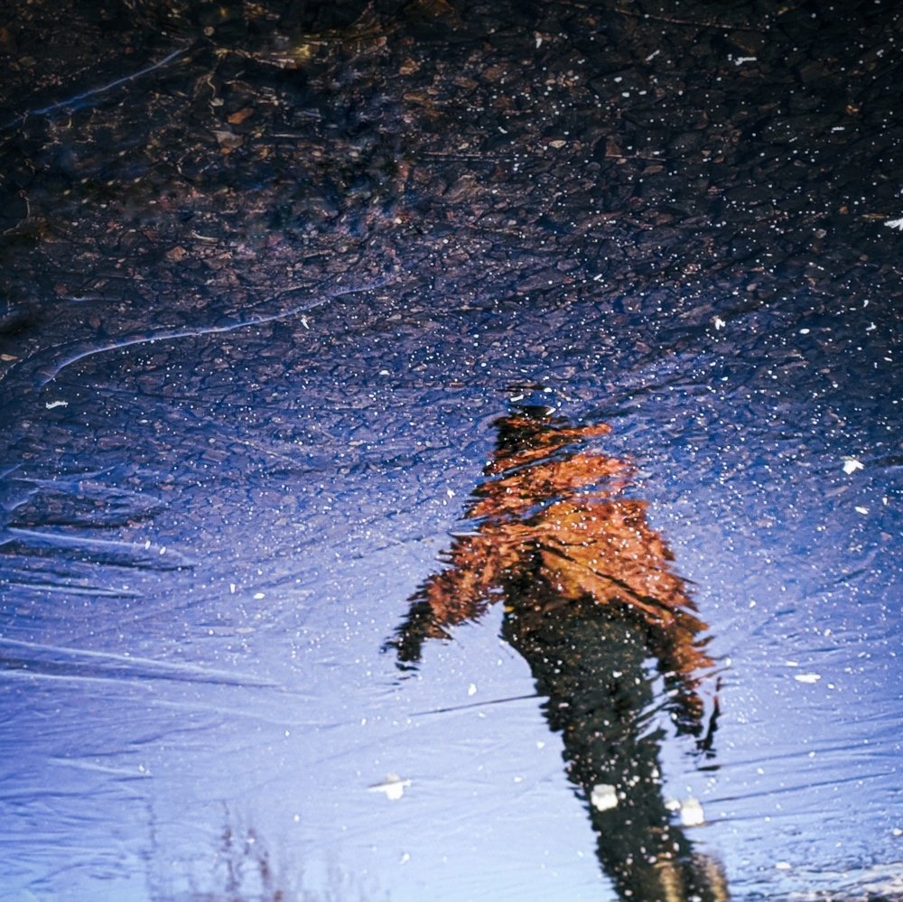 Photograph by Максим Лукманов