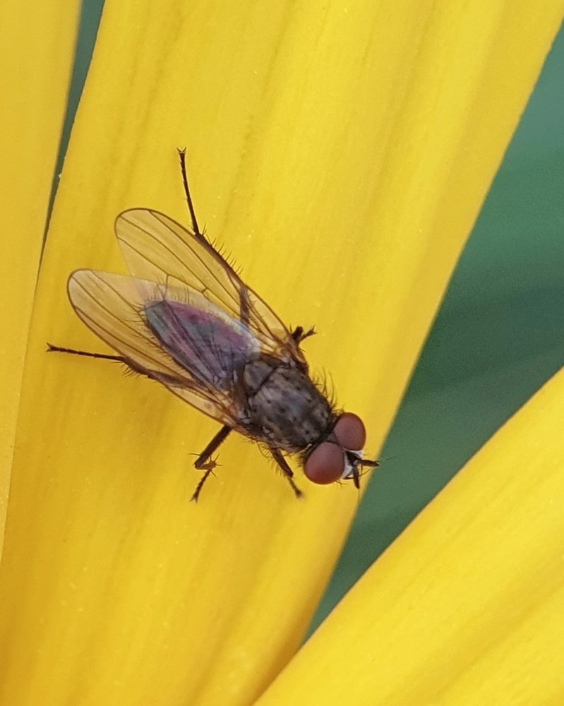 Photograph by Лариса Когтева