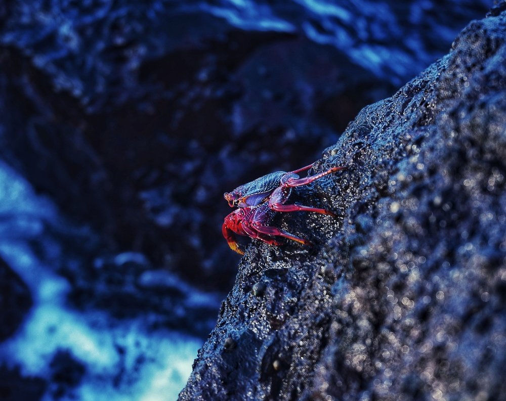 Photograph by Владимир Яськив