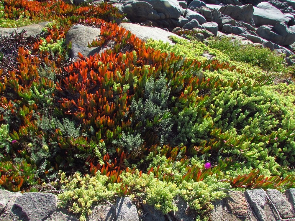 Photograph by José López