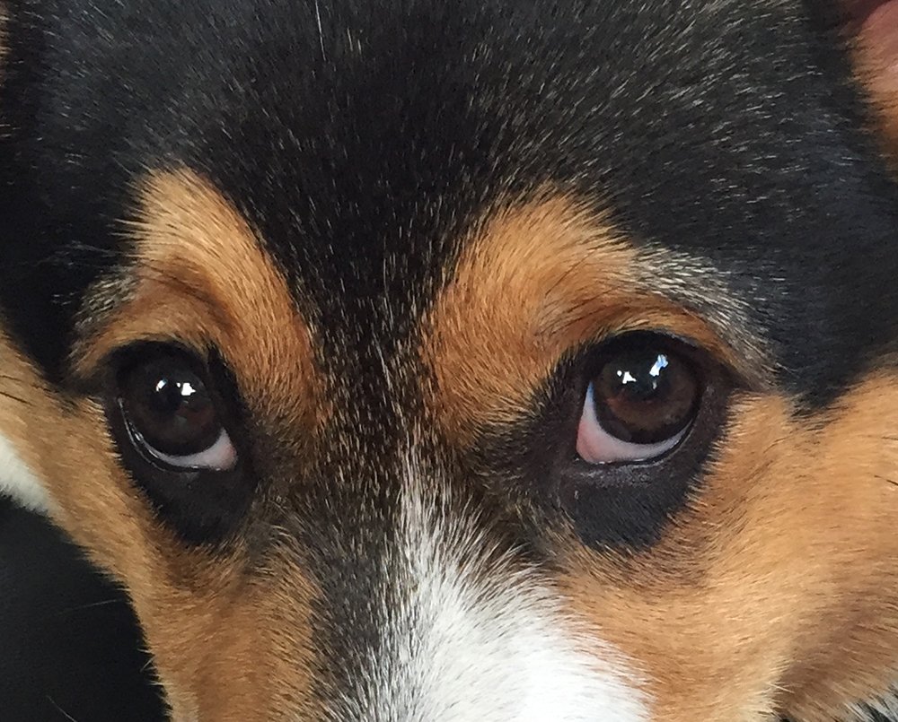 Photograph by Liliana Grup