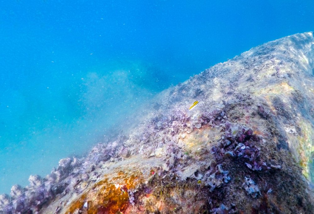 Фотография автора Dang Le