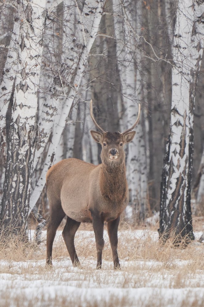Photograph by Игорь Травкин