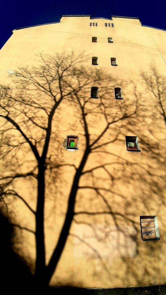 Photograph by Ирина Савш