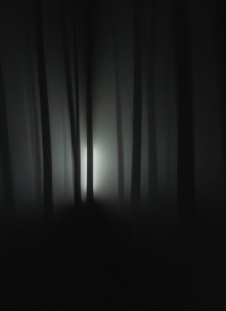 Dark forest