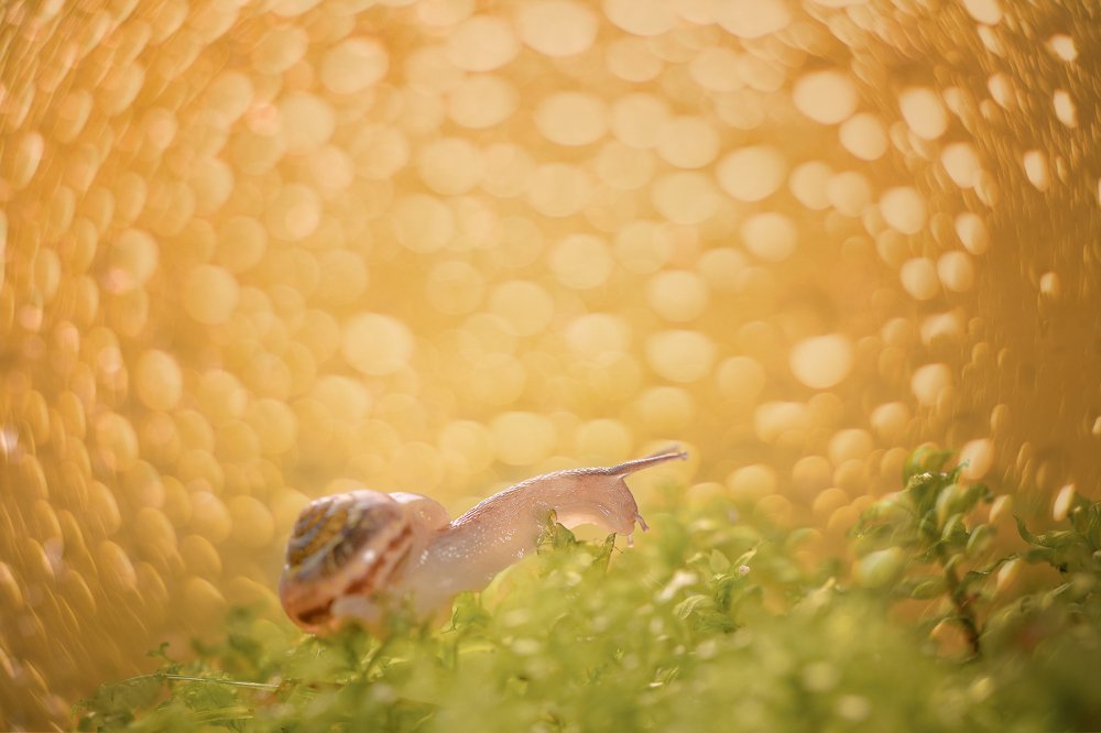 Фотография автора Evgeniya Fedorova