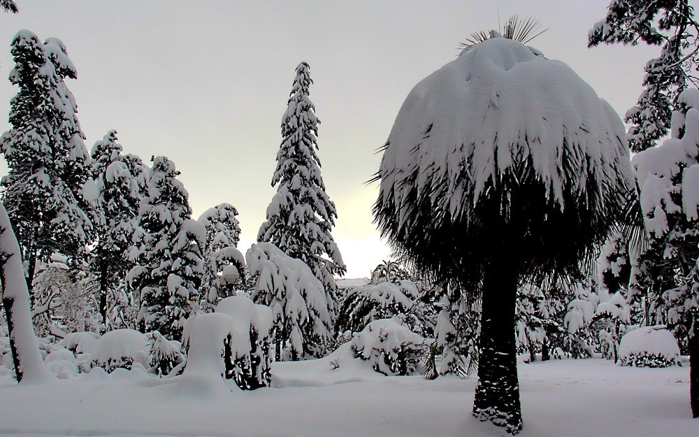 Photograph by zviad_k