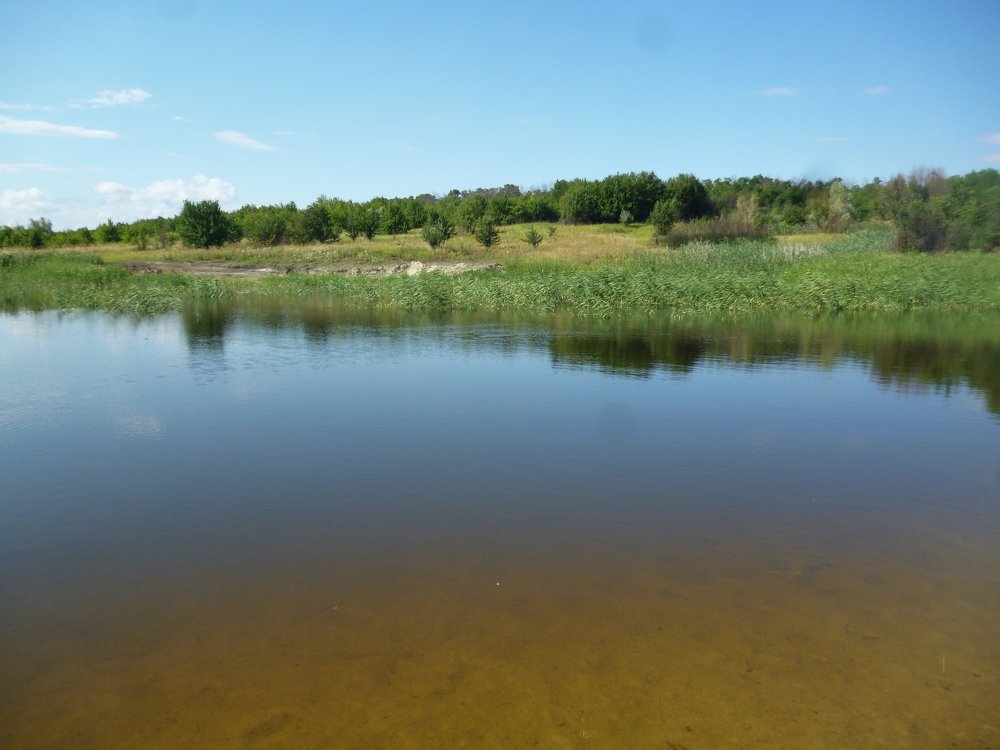 Photo #5418153