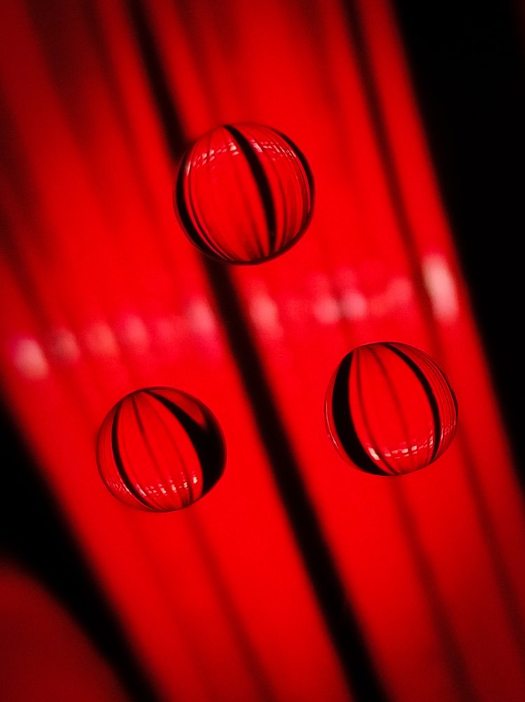 Photograph by Екатерина Зубарева