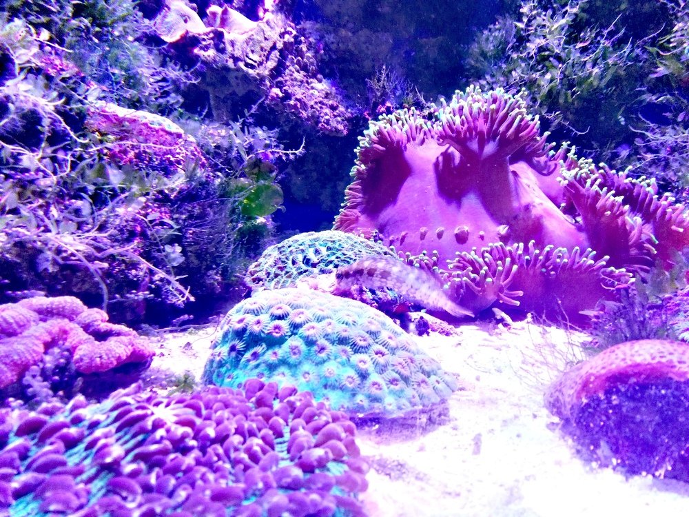 Photograph by Марина Тихонова