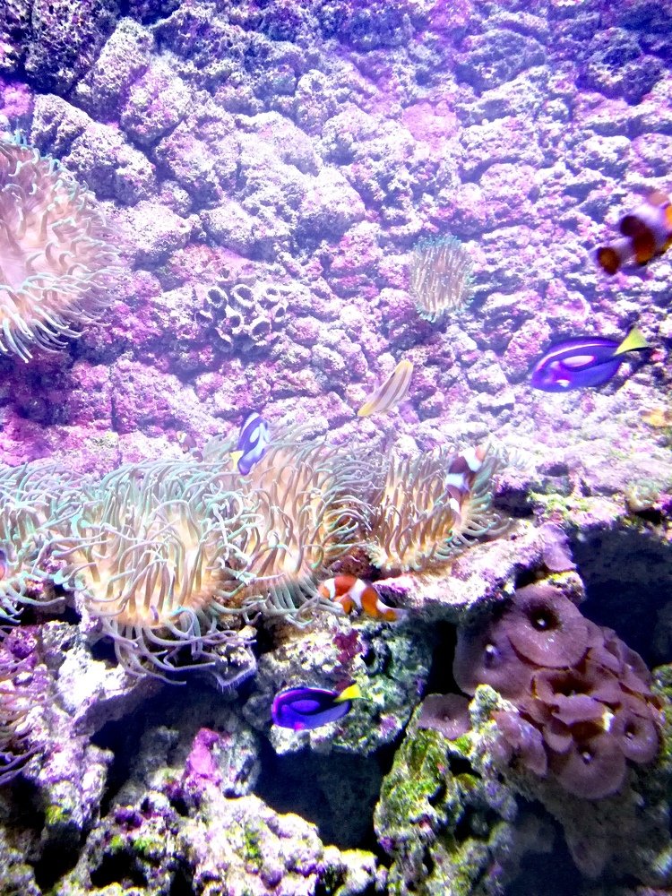 Photograph by Марина Тихонова