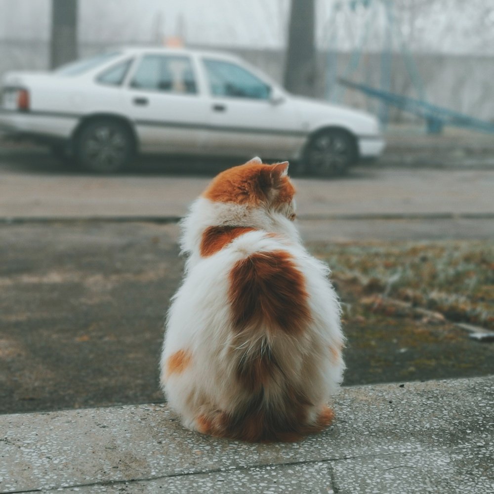Photograph by Владислав Бертош