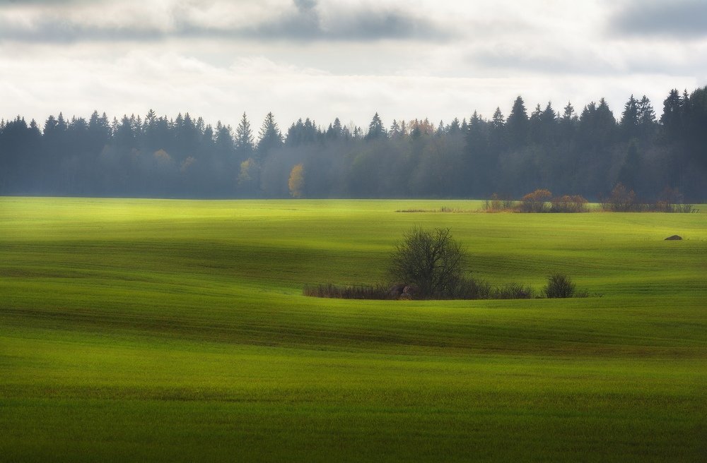 Photograph by Артем Алексеев