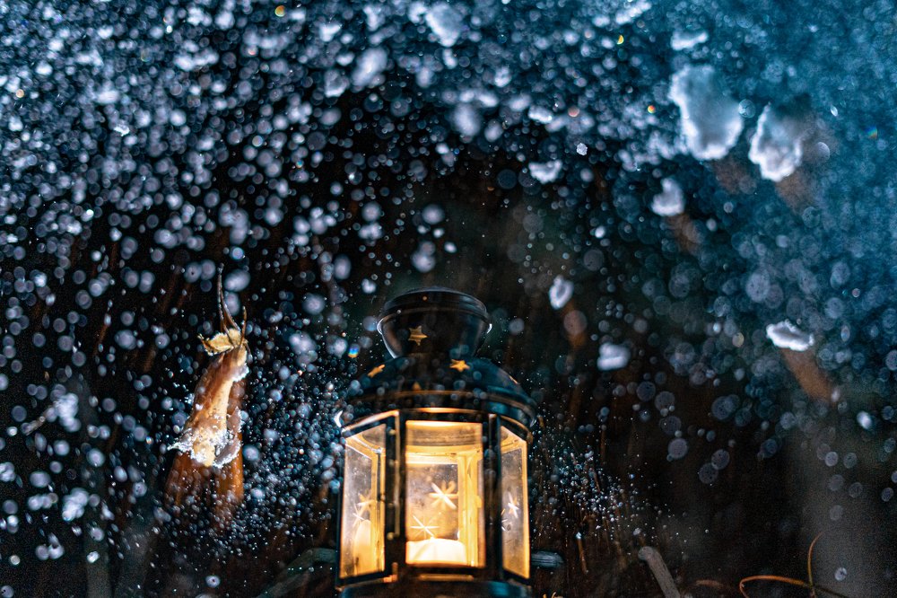 Photograph by Владимир Коновалов