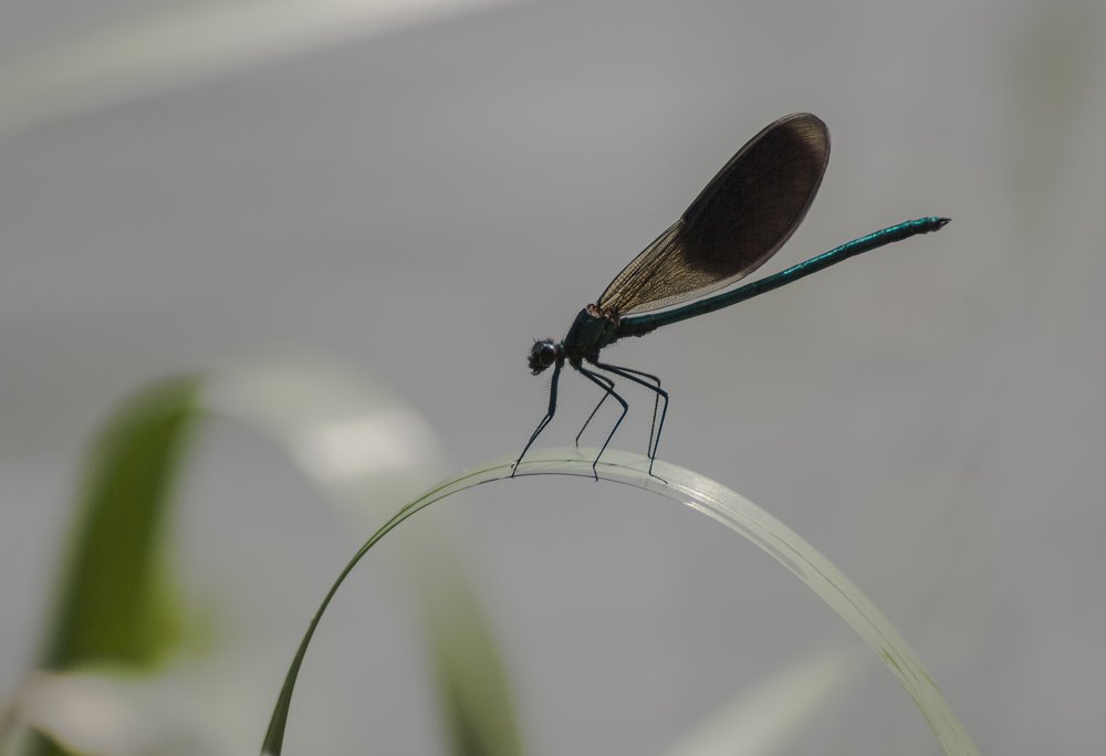Фотография автора Валентин Амфитеатров