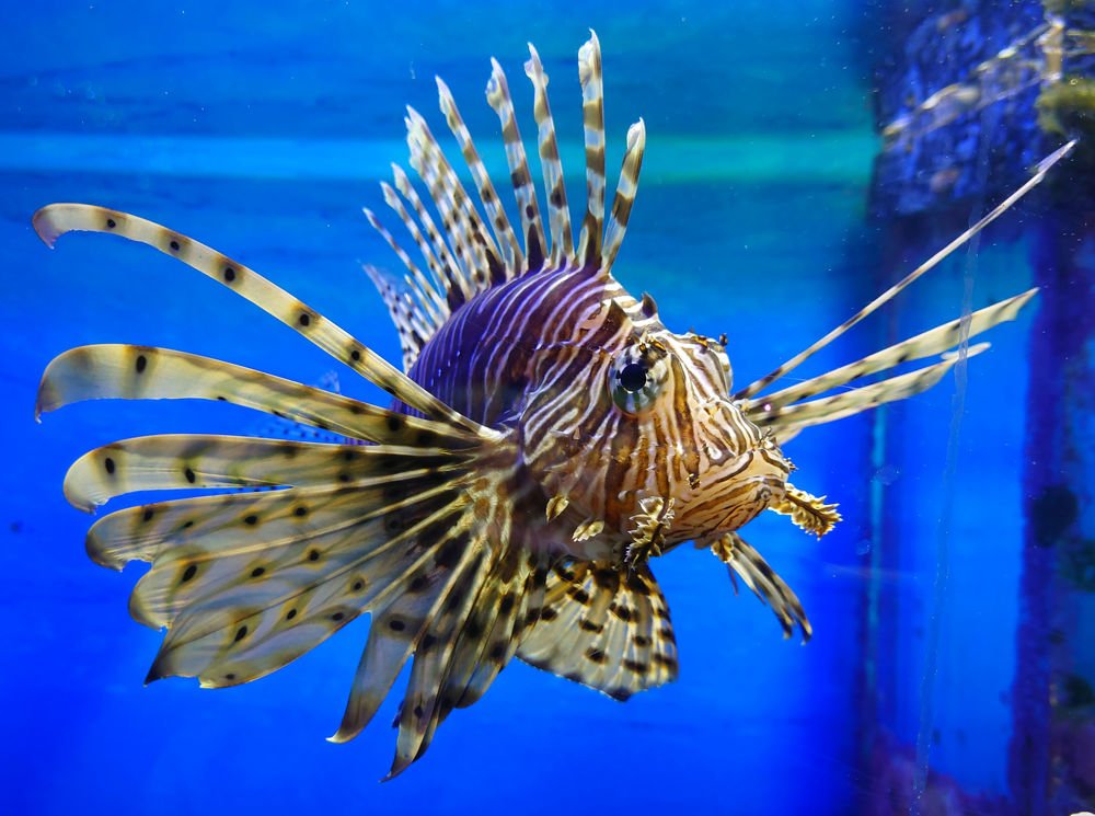 Photograph by Юрий Сычев