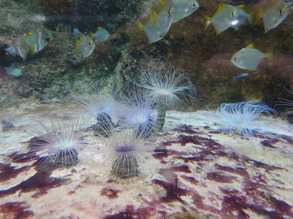 Photograph by Юрий Сычев