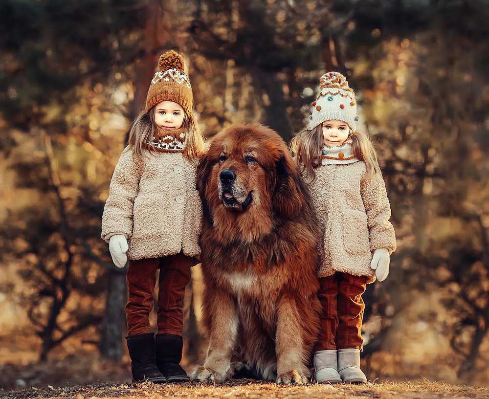 Photograph by Наталья Танаева