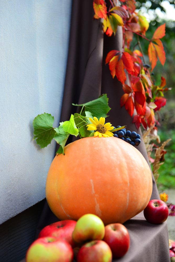 Photograph by Liudmyla