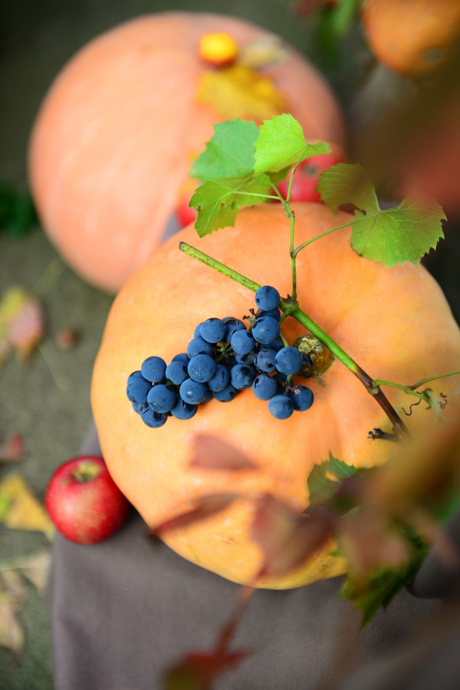 Photograph by Liudmyla