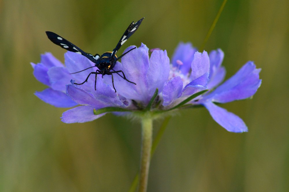 Photograph by Анатолий Орлов