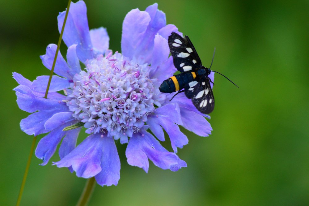 Photograph by Анатолий Орлов