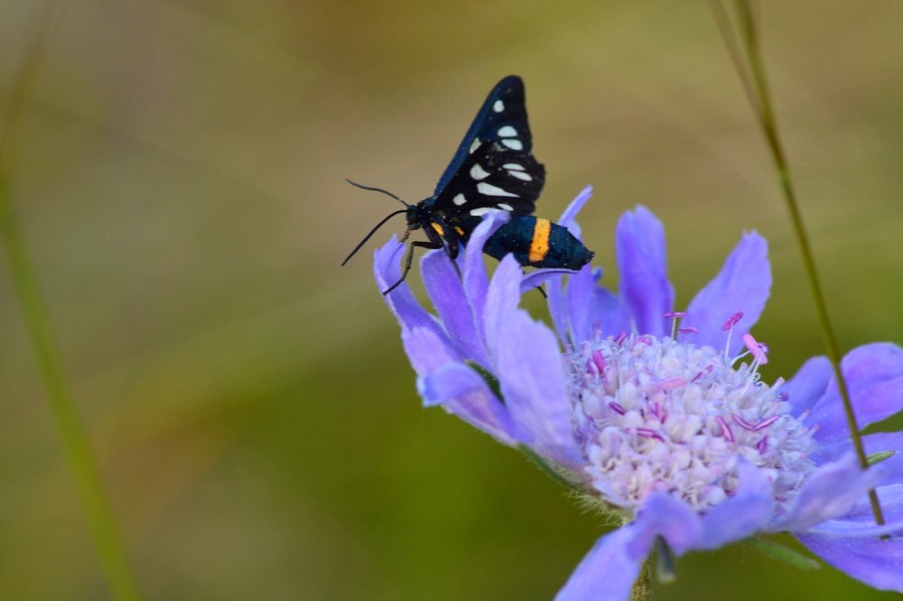 Photograph by Анатолий Орлов