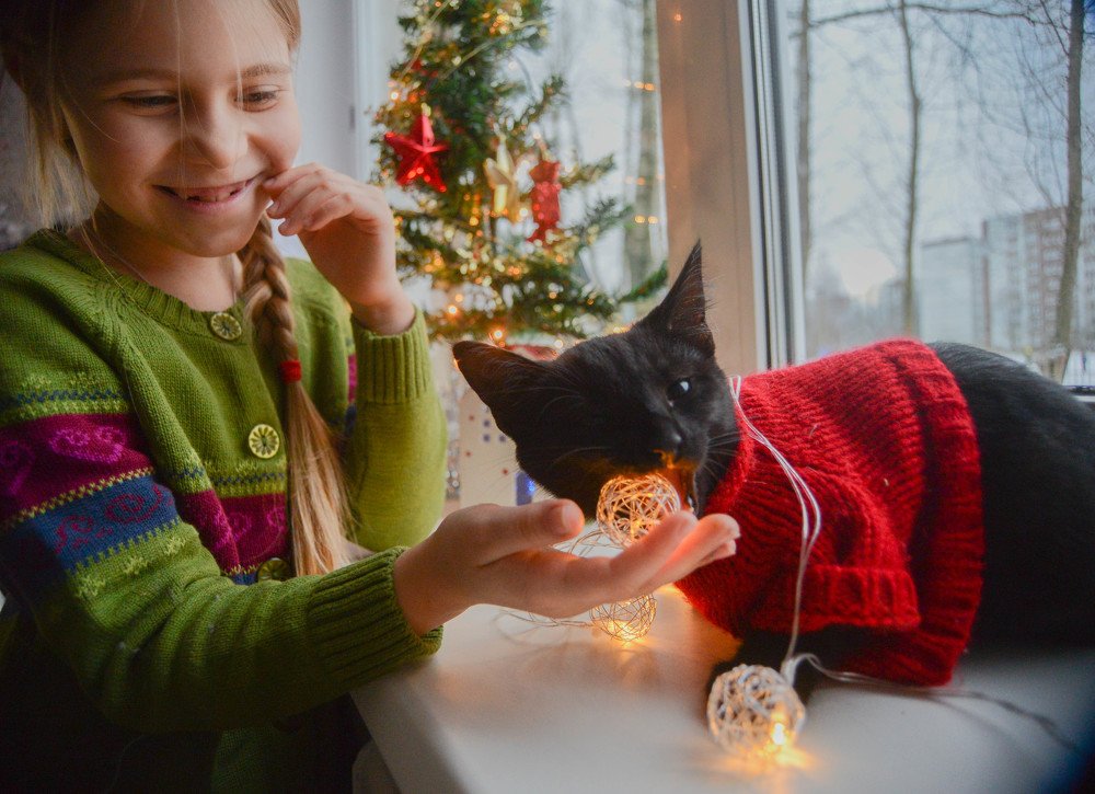 Photograph by Надежда Кузьмина